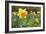 Focusing on Spring-Adrian Campfield-Framed Photographic Print