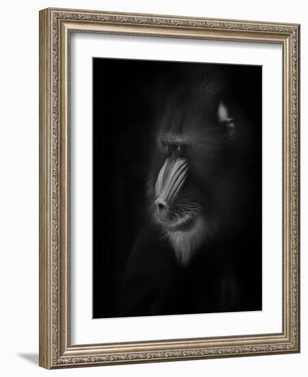 Focussed-Ruud Peters-Framed Photographic Print