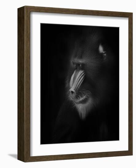 Focussed-Ruud Peters-Framed Photographic Print