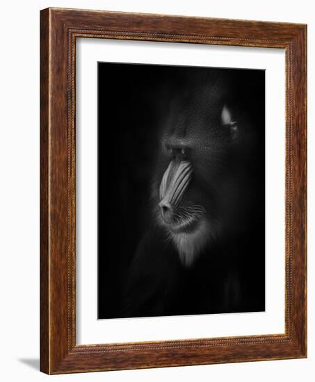 Focussed-Ruud Peters-Framed Photographic Print