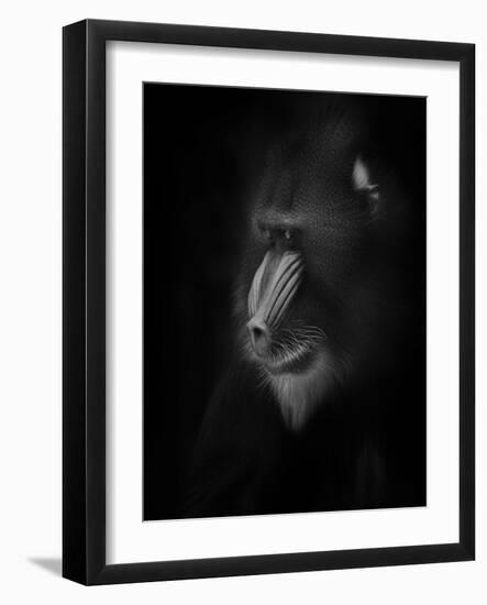 Focussed-Ruud Peters-Framed Photographic Print