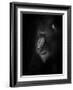 Focussed-Ruud Peters-Framed Photographic Print