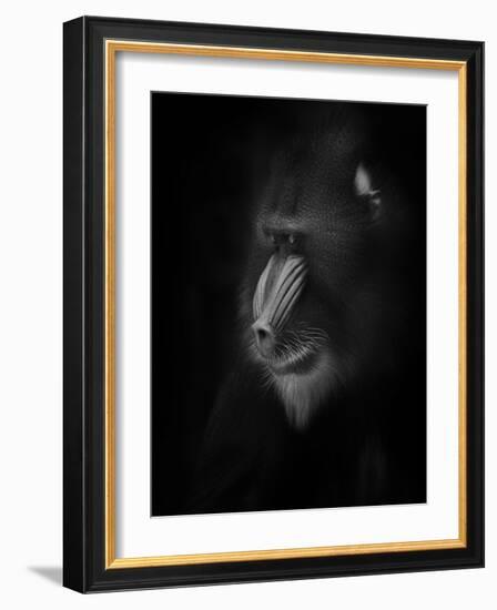 Focussed-Ruud Peters-Framed Photographic Print