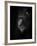 Focussed-Ruud Peters-Framed Photographic Print