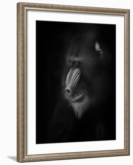 Focussed-Ruud Peters-Framed Photographic Print