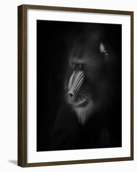 Focussed-Ruud Peters-Framed Photographic Print