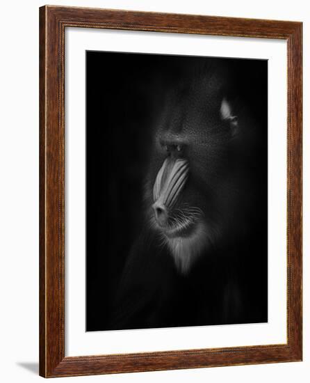 Focussed-Ruud Peters-Framed Photographic Print