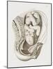 Foetus In the Uterus During Labour-Mehau Kulyk-Mounted Photographic Print