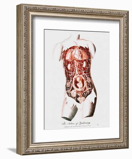 Foetus in Uterus at Time of Quickening When First Fetal Movements are Felt by the Mother, C1795-null-Framed Giclee Print