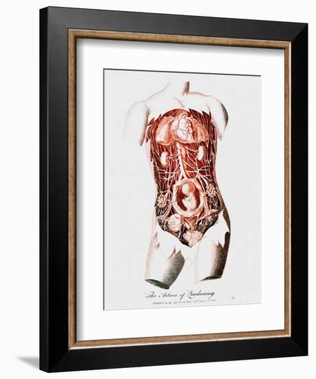 Foetus in Uterus at Time of Quickening When First Fetal Movements are Felt by the Mother, C1795-null-Framed Giclee Print