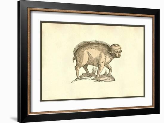 Foetus Suinus Humano Vultu-Ulisse Aldrovandi-Framed Art Print