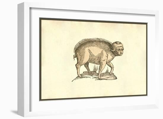 Foetus Suinus Humano Vultu-Ulisse Aldrovandi-Framed Art Print