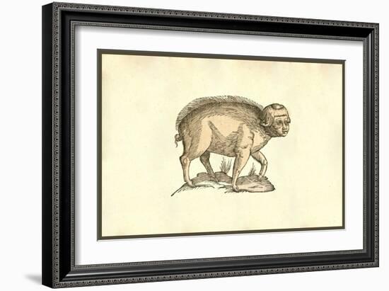 Foetus Suinus Humano Vultu-Ulisse Aldrovandi-Framed Art Print