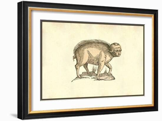 Foetus Suinus Humano Vultu-Ulisse Aldrovandi-Framed Art Print