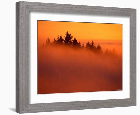 Fog and Clouds Over a Forest-Janis Miglavs-Framed Photographic Print