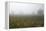 Fog and Farmland Near Hamilton, Waikato, North Island, New Zealand-David Wall-Framed Premier Image Canvas