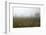 Fog and Farmland Near Hamilton, Waikato, North Island, New Zealand-David Wall-Framed Photographic Print