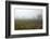 Fog and Farmland Near Hamilton, Waikato, North Island, New Zealand-David Wall-Framed Photographic Print