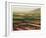 Fog and Fields-Carl Stieger-Framed Limited Edition