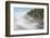 Fog and Forest I-Alan Majchrowicz-Framed Photographic Print