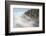 Fog and Forest I-Alan Majchrowicz-Framed Photographic Print