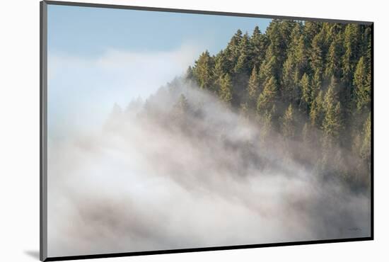 Fog and Forest I-Alan Majchrowicz-Mounted Photographic Print