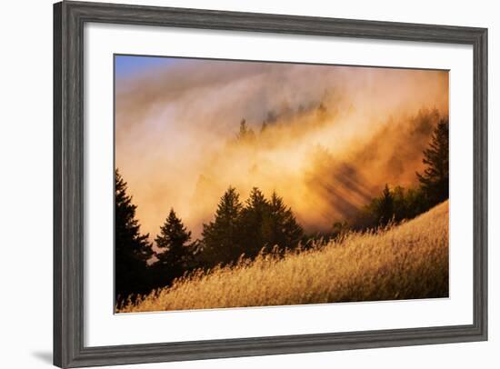 Fog and Light Collision Mount Tamalpais, Marin County, San Francisco-Vincent James-Framed Photographic Print