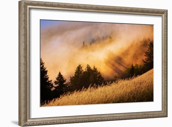 Fog and Light Collision Mount Tamalpais, Marin County, San Francisco-Vincent James-Framed Photographic Print