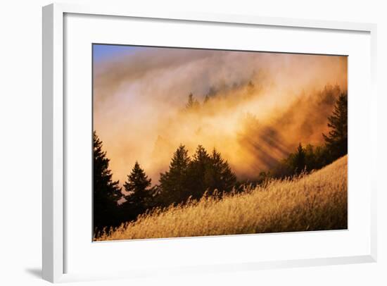 Fog and Light Collision Mount Tamalpais, Marin County, San Francisco-Vincent James-Framed Photographic Print