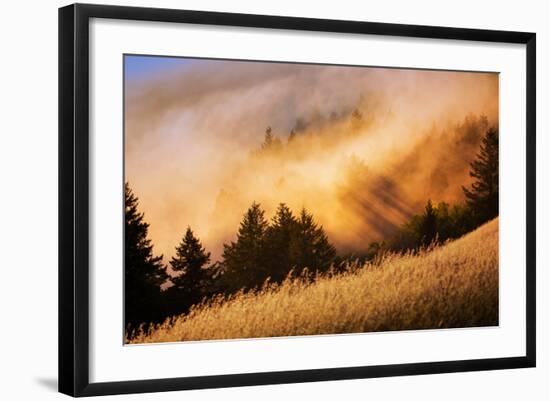 Fog and Light Collision Mount Tamalpais, Marin County, San Francisco-Vincent James-Framed Photographic Print