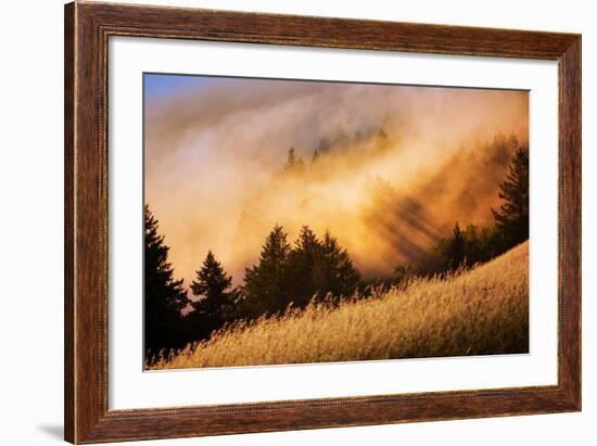 Fog and Light Collision Mount Tamalpais, Marin County, San Francisco-Vincent James-Framed Photographic Print