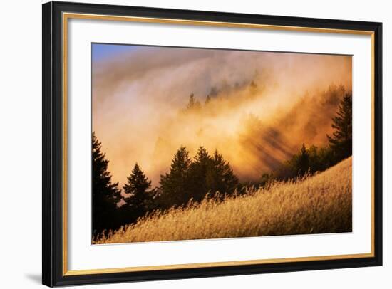 Fog and Light Collision Mount Tamalpais, Marin County, San Francisco-Vincent James-Framed Photographic Print