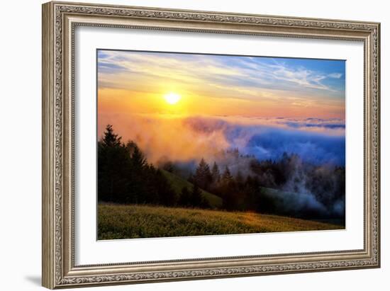 Fog and Light Mix Hills of Mount Tam California-Vincent James-Framed Photographic Print