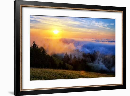 Fog and Light Mix Hills of Mount Tam California-Vincent James-Framed Photographic Print