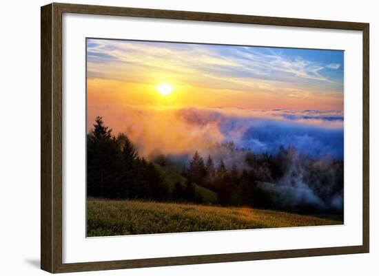 Fog and Light Mix Hills of Mount Tam California-Vincent James-Framed Photographic Print