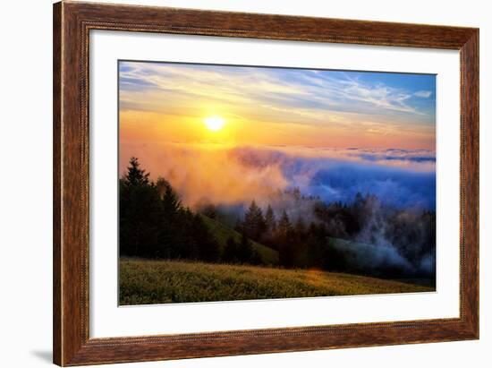 Fog and Light Mix Hills of Mount Tam California-Vincent James-Framed Photographic Print