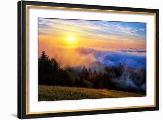 Fog and Light Mix Hills of Mount Tam California-Vincent James-Framed Photographic Print