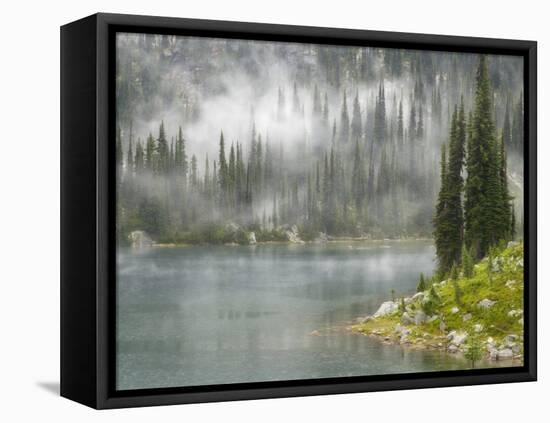 Fog and Rain on Lake Eva, Revelstoke National Park, British Columbia, Canada-Don Paulson-Framed Premier Image Canvas