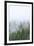 Fog and Spruce Trees near Pybus Bay, Inside Passage, Alaska, USA-Stuart Westmorland-Framed Photographic Print