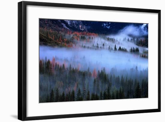 Fog and The Valley Floor, Trees from Tunnel View, Yosemite National Park-Vincent James-Framed Photographic Print
