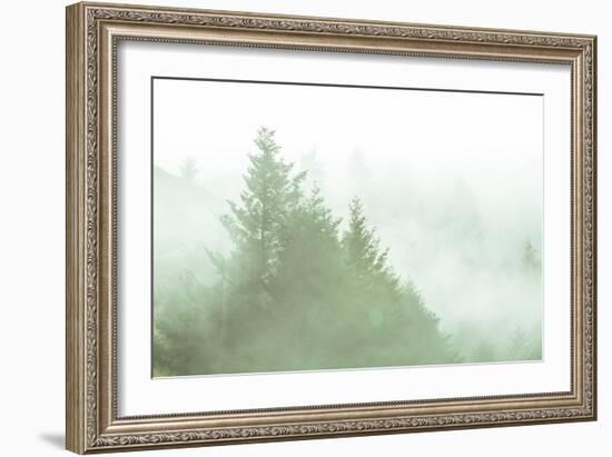 Fog Art Impressions Nature Detail-Vincent James-Framed Photographic Print