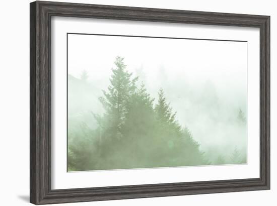 Fog Art Impressions Nature Detail-Vincent James-Framed Photographic Print