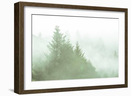 Fog Art Impressions Nature Detail-Vincent James-Framed Photographic Print