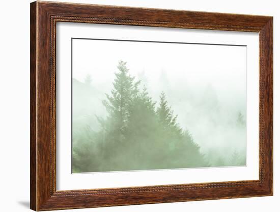 Fog Art Impressions Nature Detail-Vincent James-Framed Photographic Print