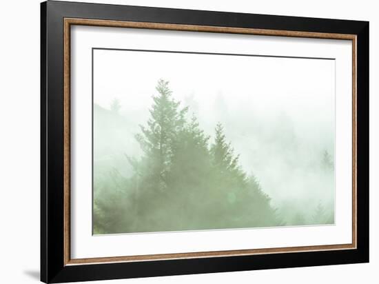 Fog Art Impressions Nature Detail-Vincent James-Framed Photographic Print