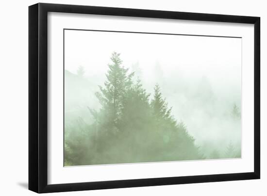 Fog Art Impressions Nature Detail-Vincent James-Framed Photographic Print