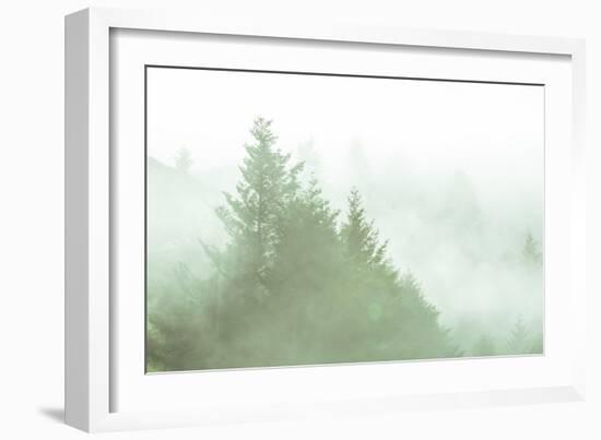 Fog Art Impressions Nature Detail-Vincent James-Framed Photographic Print