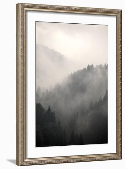 Fog Covering The Mountain Forests-Gudella-Framed Premium Giclee Print