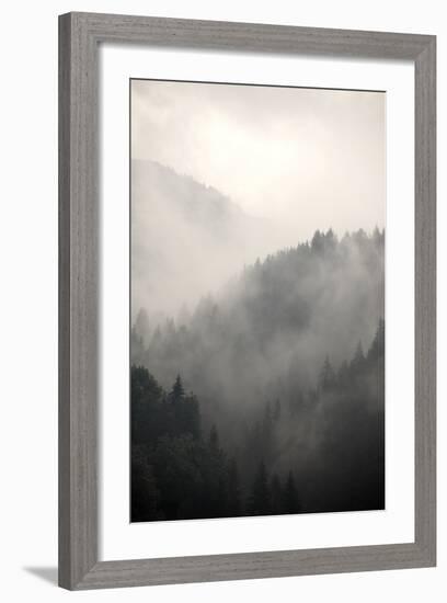 Fog Covering The Mountain Forests-Gudella-Framed Premium Giclee Print