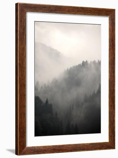 Fog Covering The Mountain Forests-Gudella-Framed Premium Giclee Print